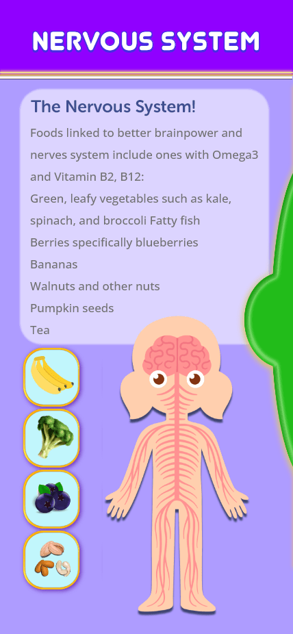 04- 4 Body Girl –Nervous System