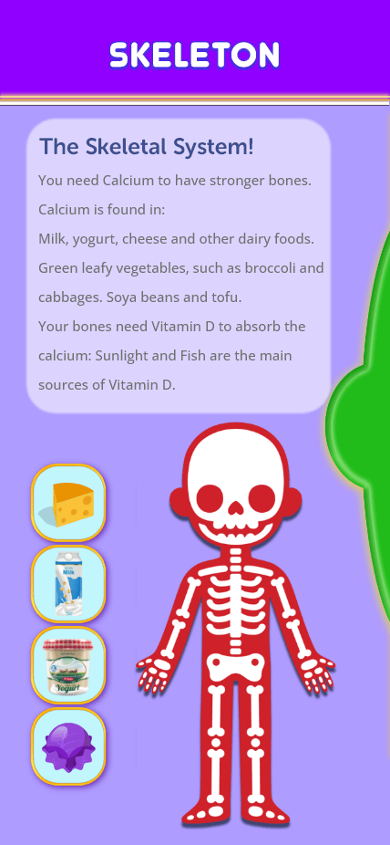 04-6 Body Boy – Skeletal System